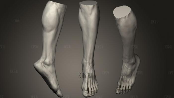 Male Foot 7